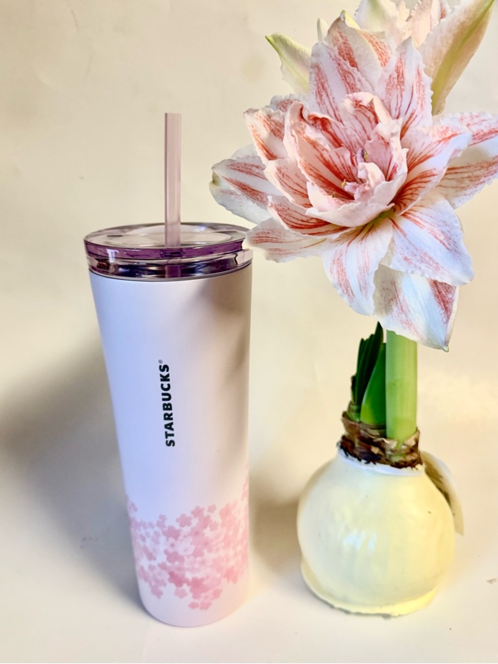 NWT Starbucks 2026 Pink Cherry Blossom Petal SS Cold Cup Tumbler - 20 oz - Picture 2 of 3